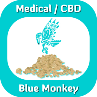 Blue Monkey seeds