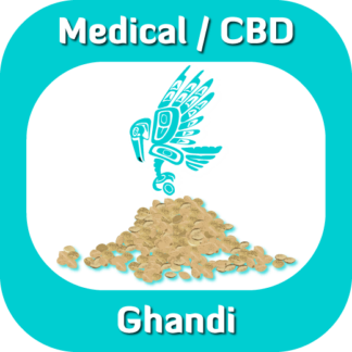Ghandi seeds