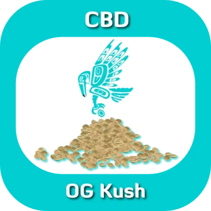 OG Kush seeds