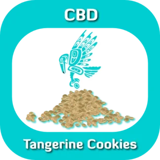 Tangerine Cookies seeds