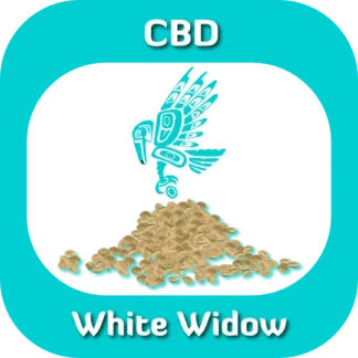 White Widow seeds