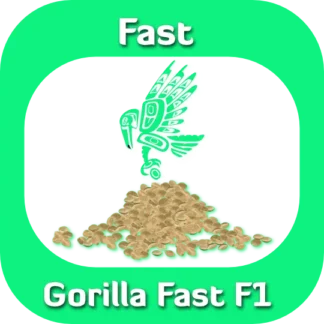 Gorilla Fast F1 seeds