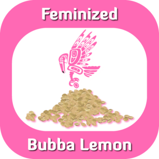 Feminized Bubba Lemon seeds