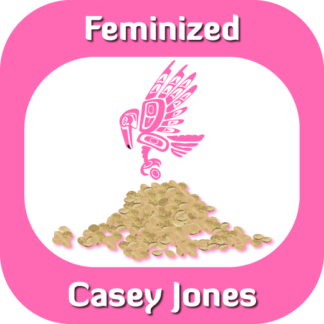Feminized Casey Jones seeds