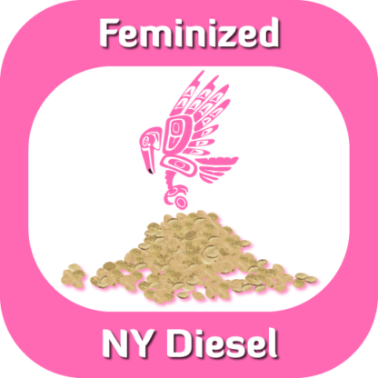 Feminized NYDiesel seeds