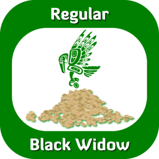 Regular Black Widow seeds