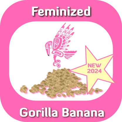 Feminized Gorilla Banana seeds