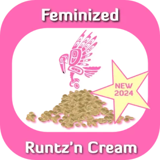 Feminized Runtz' n Cream seeds