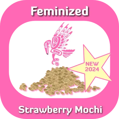 Feminized Strawberry Mochi seeds