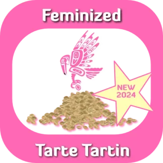 Feminized Tarte Tartin seeds