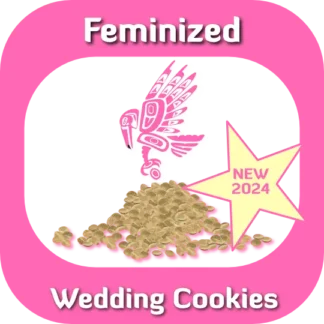 Feminized Wedding Cookies seeds