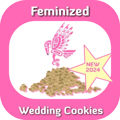 Feminized Wedding Cookies seeds