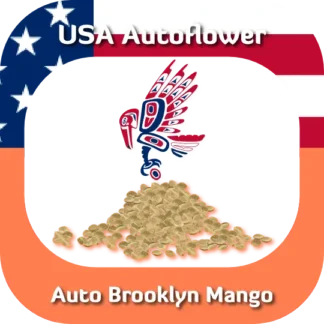 Auto Brooklyn Mango seeds