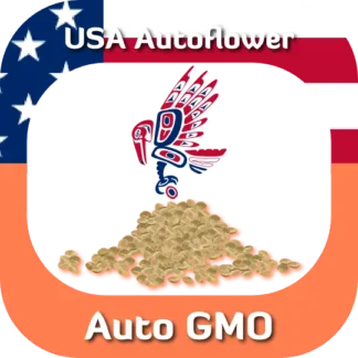 Auto GMO seeds