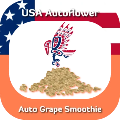 Auto Grape Smoothie seeds