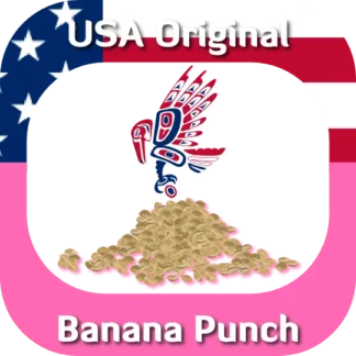 Banana Punch seeds