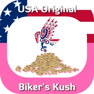 Biker's Kush seeds