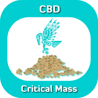 Critical Mass seeds