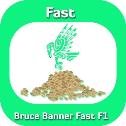 Bruce Banner Fast F1 seeds