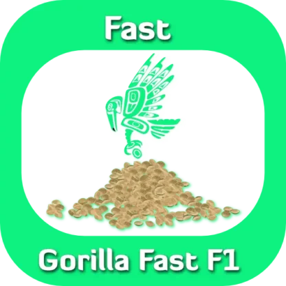 Gorilla Fast F1 seeds