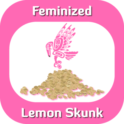 Feminized Lemon Skunk seeds