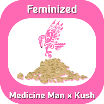 Feminized Medicine Man seeds