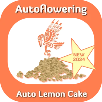 Autoflower Auto Lemon Cake seeds