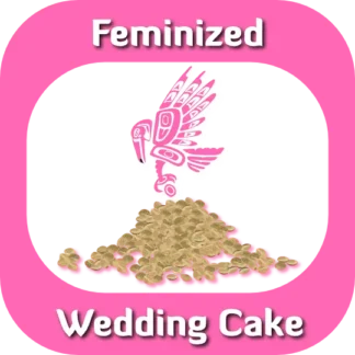 Feminized Wedding Cake seeds