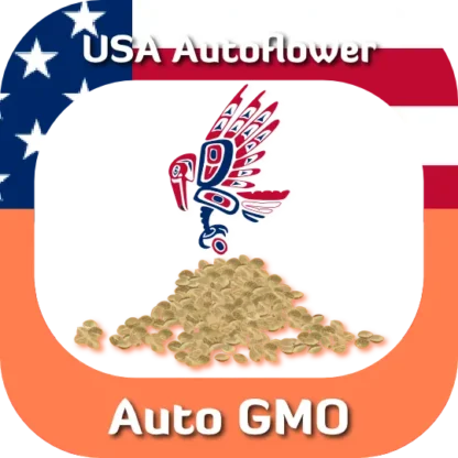 Auto GMO seeds