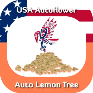 Auto Lemon Tree seeds