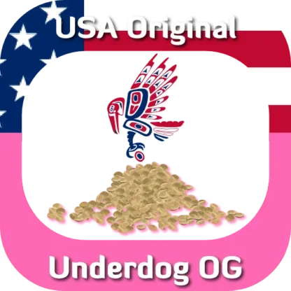 Underdog OG seeds